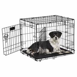 Bur för hund